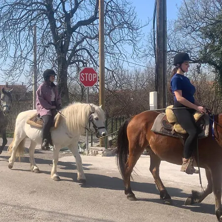 In Family House Linda *